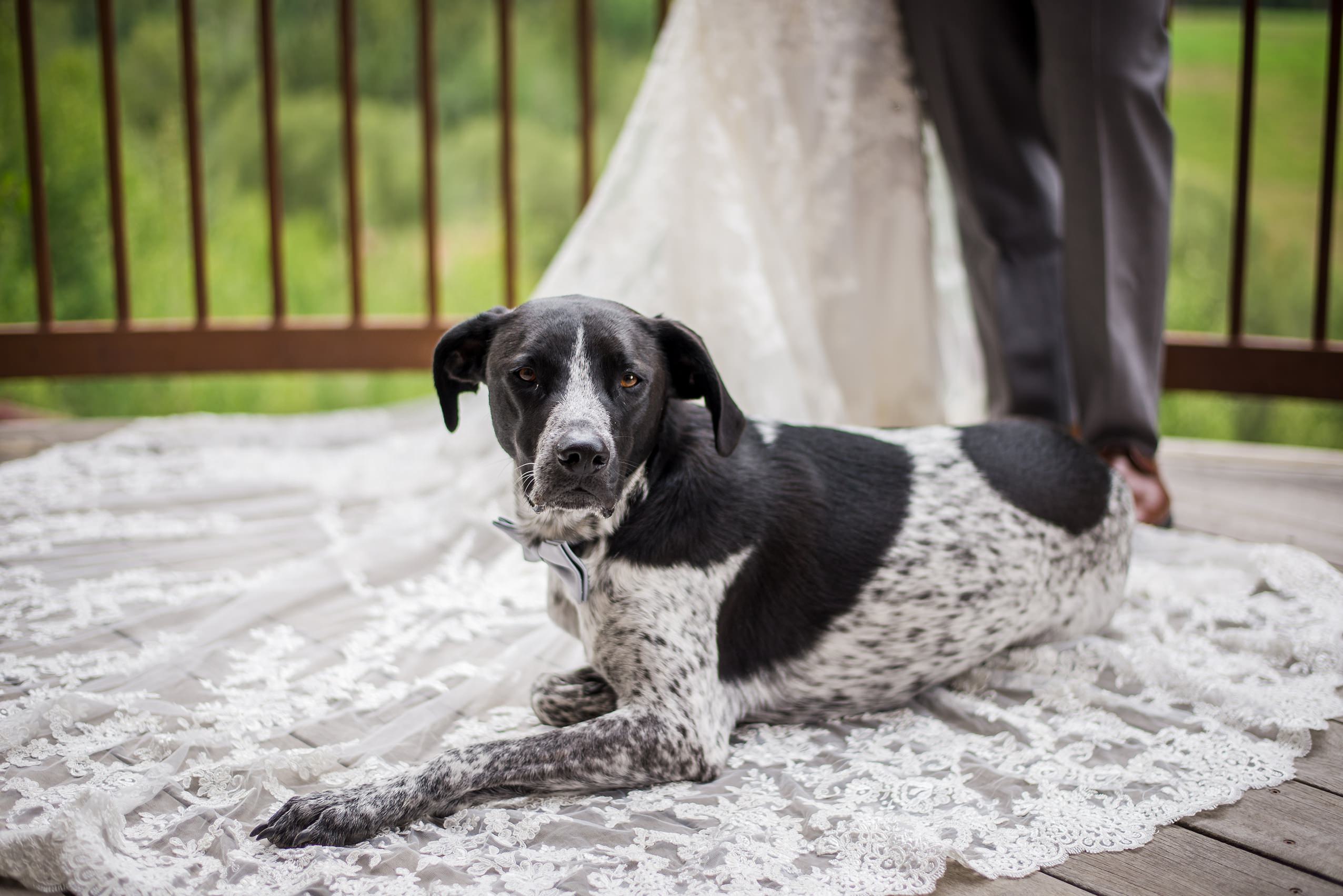 Telluride Weddings