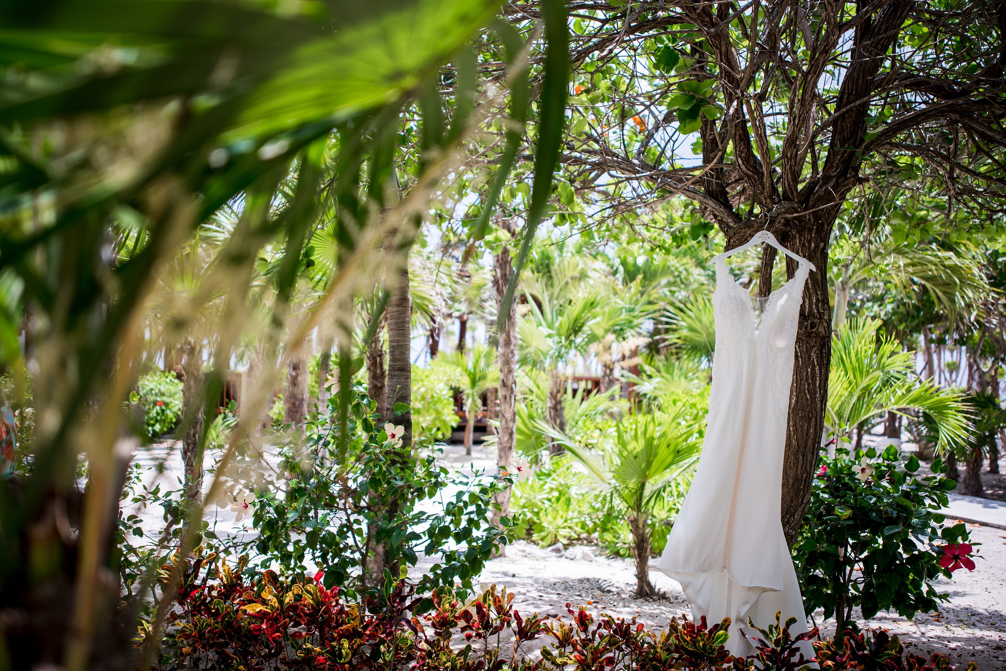 Beach weddings, Mexico weddings, destination wedding photographers