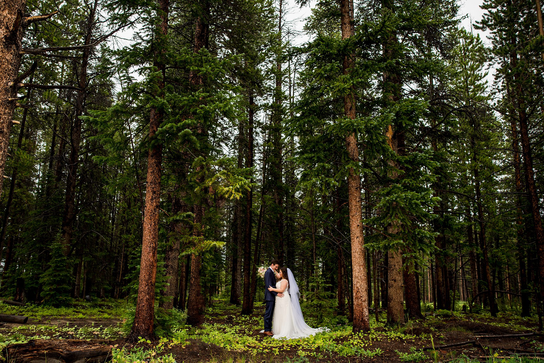 Forest wedding in Breckenridge