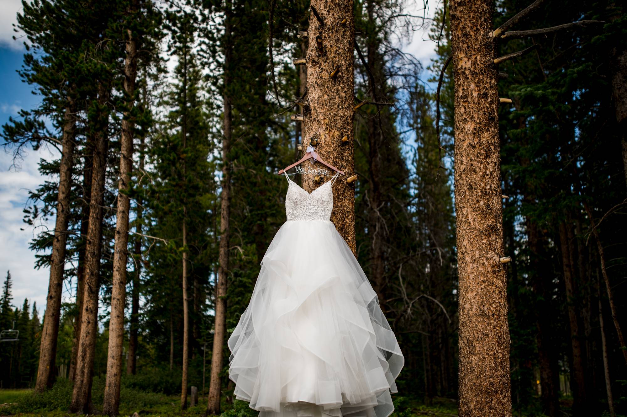 wedding dress hanging in the trees at Ten Mile Station
