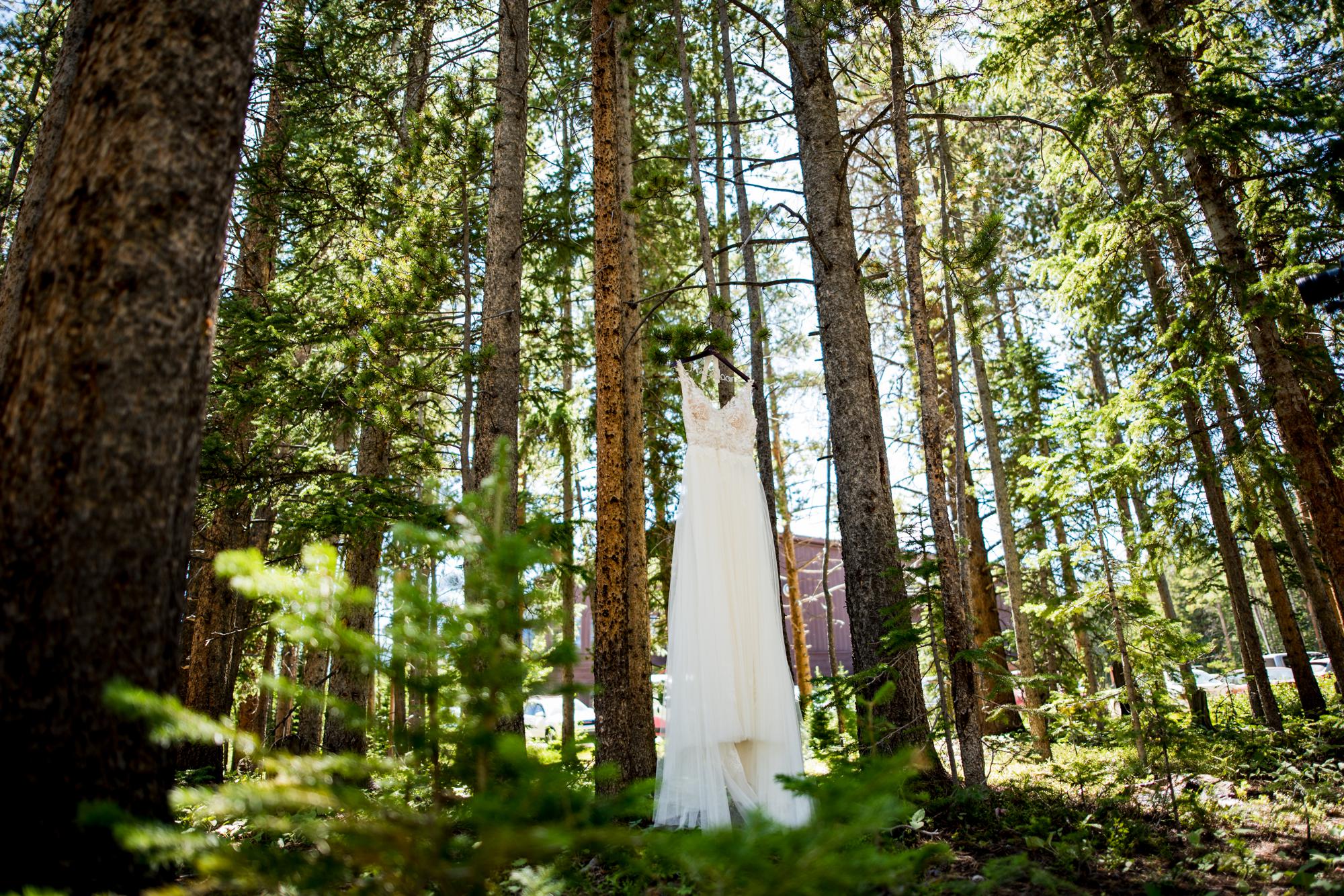 wedding dress hanging in the trees at ten mile station