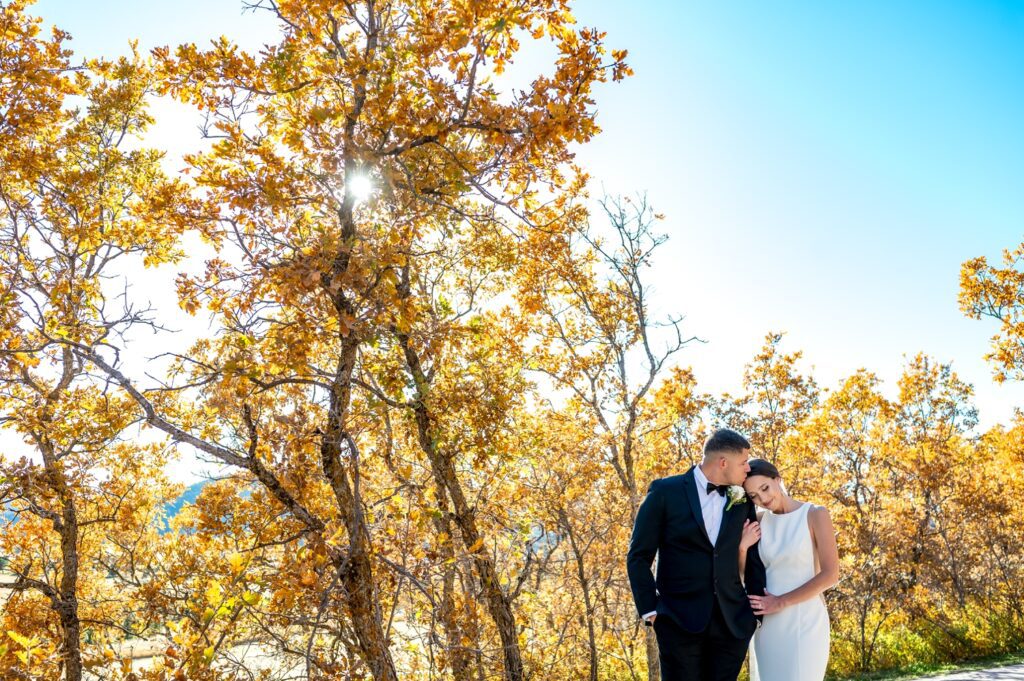 Bride and groom embrace under golden autumn trees at Spruce Mountain Ranch in Colorado, bathed in warm sunlight. A romantic fall wedding moment captured with true-to-color wedding photography at a premier Colorado wedding venue.
